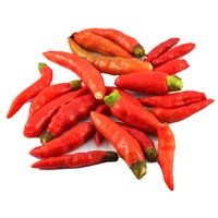 Sandveld Seeds Bird's Eye Chilli 